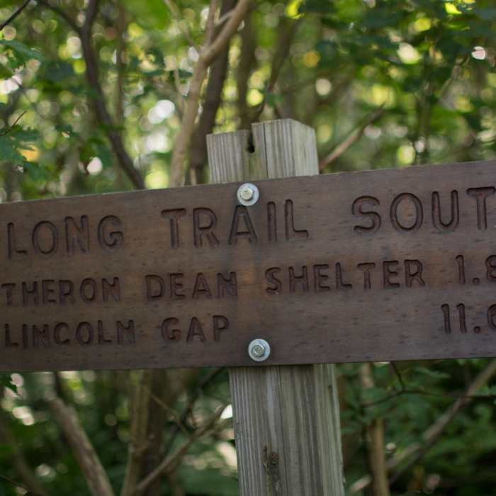 Near Mount Ellen via the Long Trail Near Mount Ellen via the Long Trail