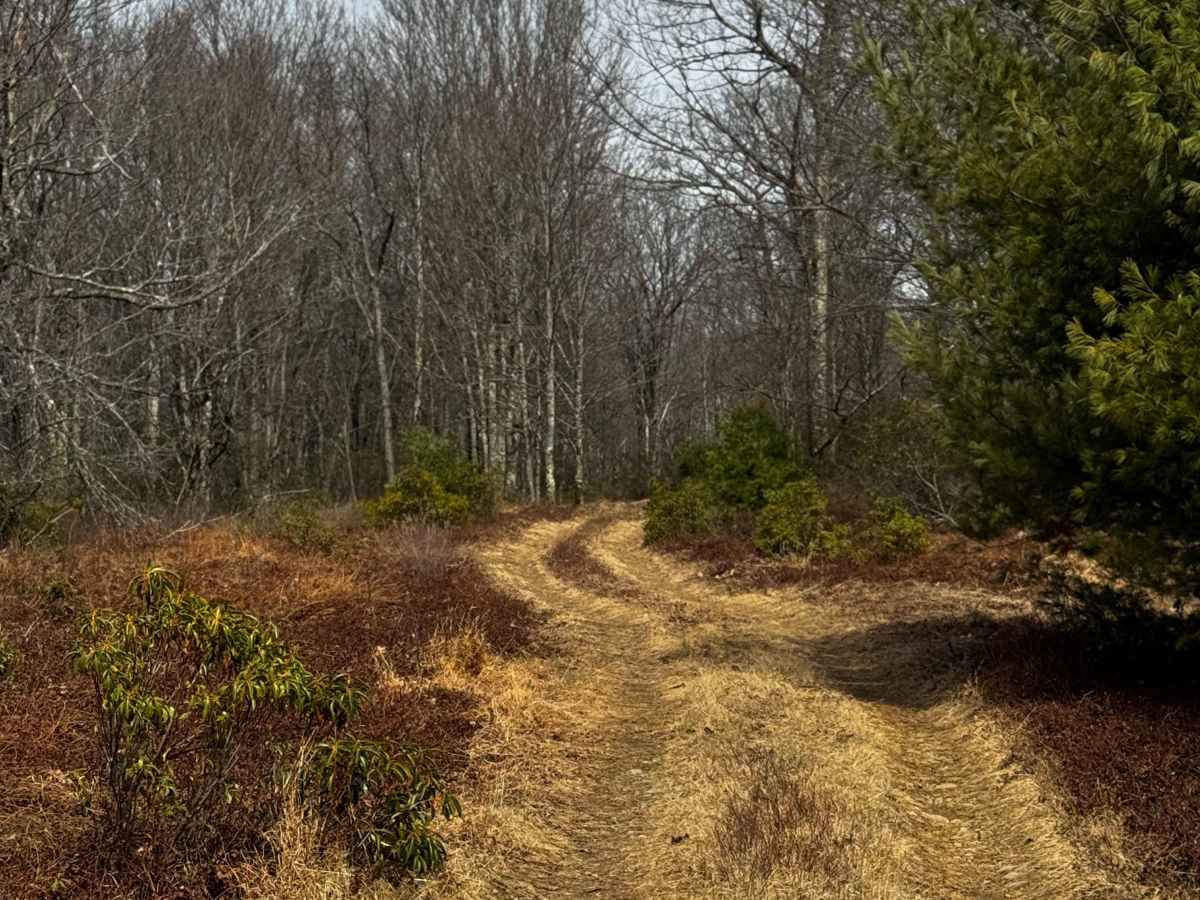 East Branch Road photo 3