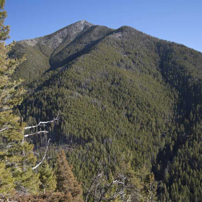 Near Baldy Basin Saddle via West Baldy Basin