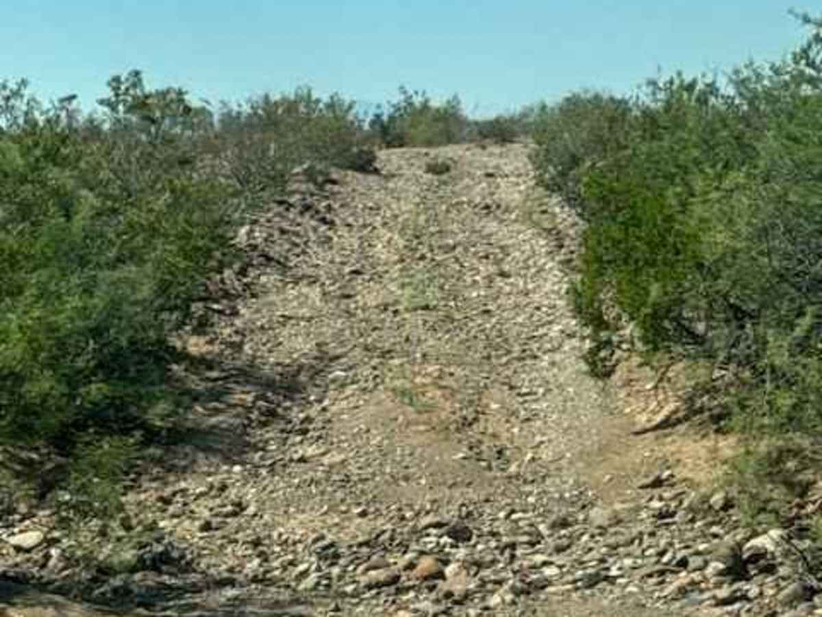BLM PE1018 photo 2