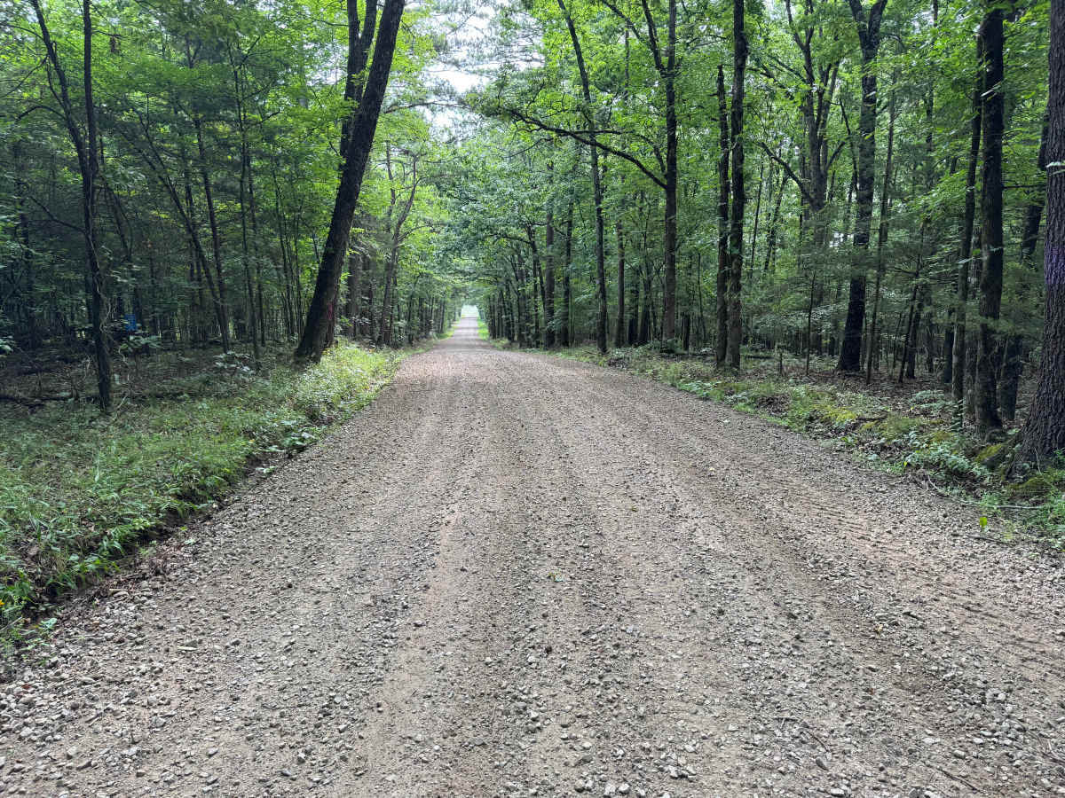 Minnow Creek Road - 3611 photo 4
