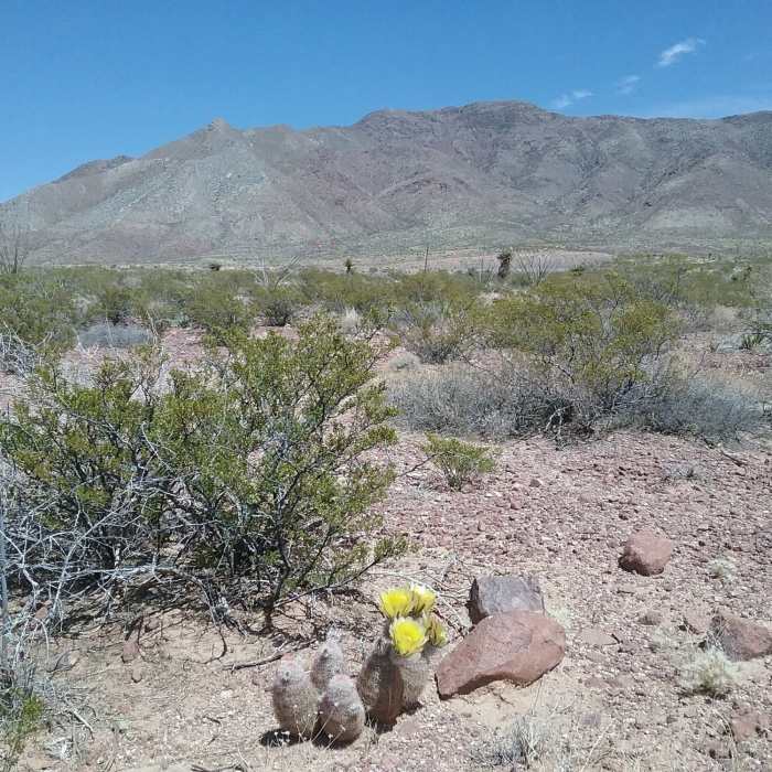 Near Brujos Connector