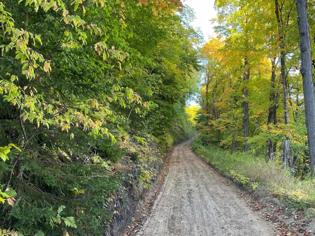 Munising Loop photo 3