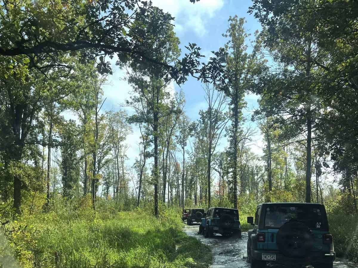 Mille Lacs Core Trail trail photo