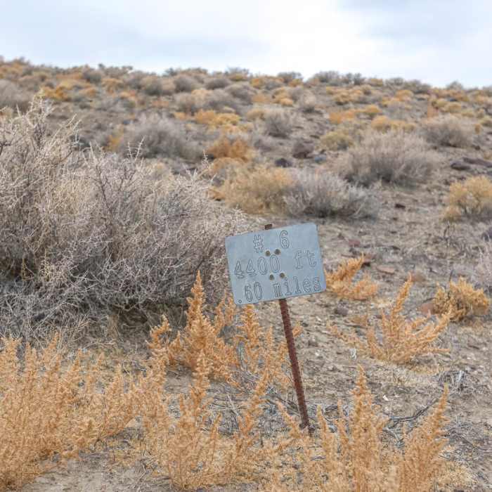 Near Lone Mountain Summit