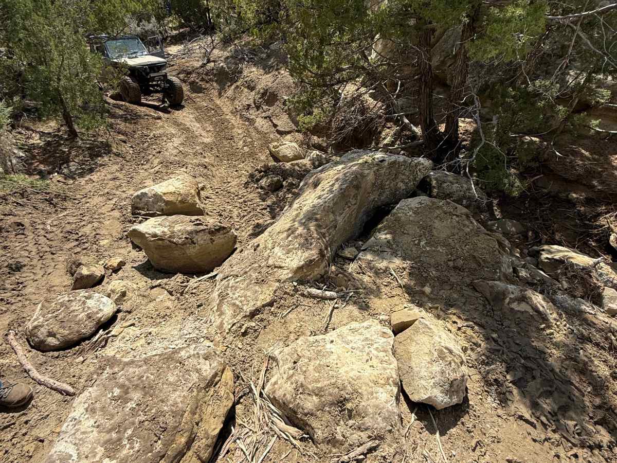 Hanging Bridge Trail photo 4