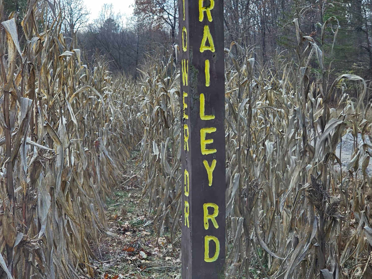 Railey Road trail photo
