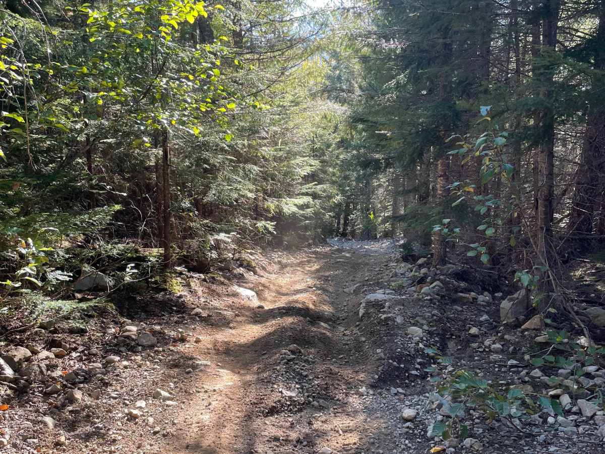 Doubletrack #2 photo 6