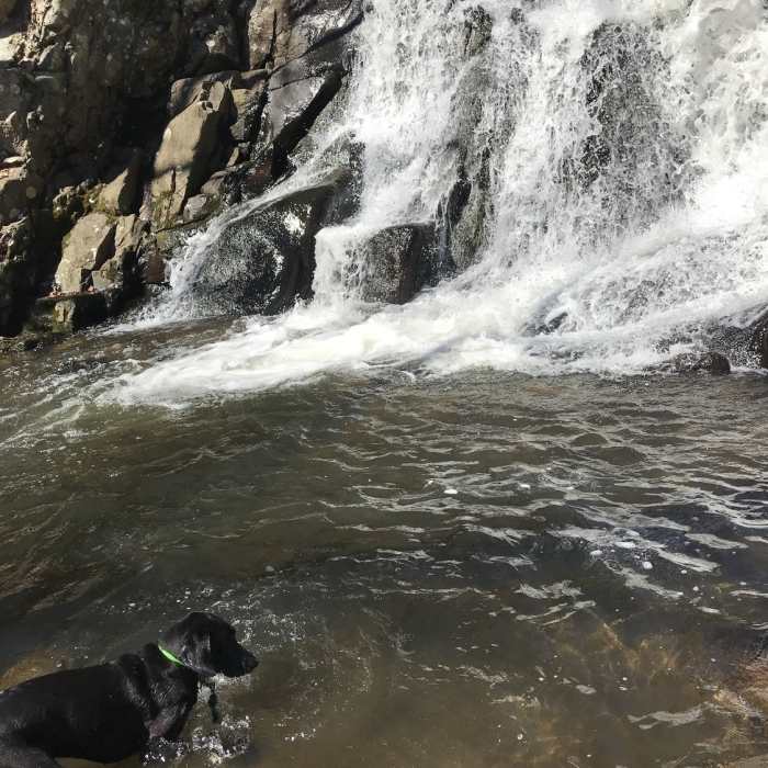 Near Falling Waters Trail
