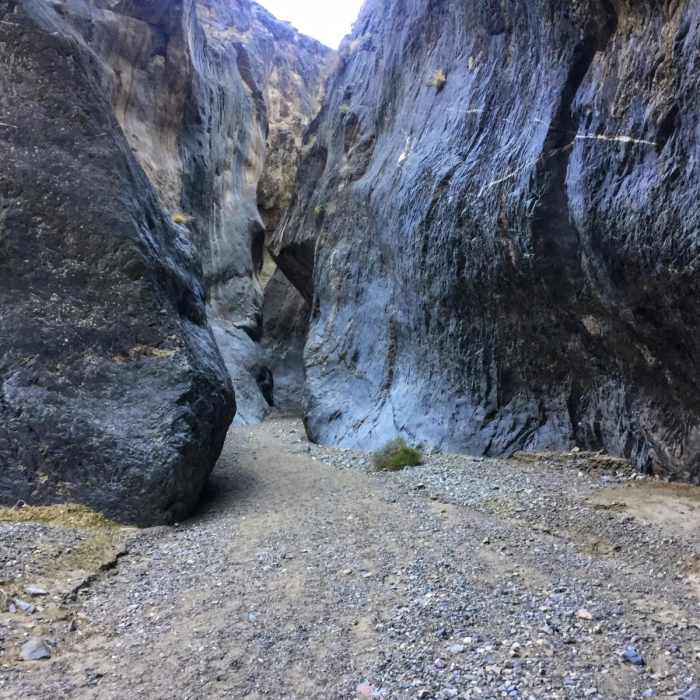 Near Marble Canyon Petroglyphs