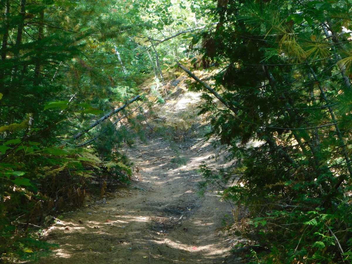 North Country Trail trail photo