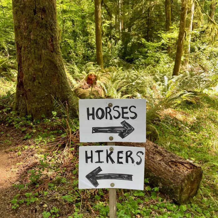 Near Silver Falls Full Perimeter Loop