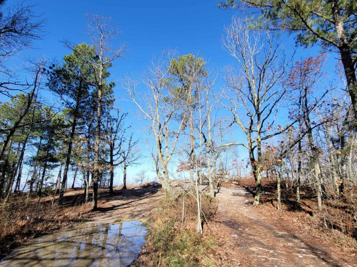 USFSR #600-1 trail photo