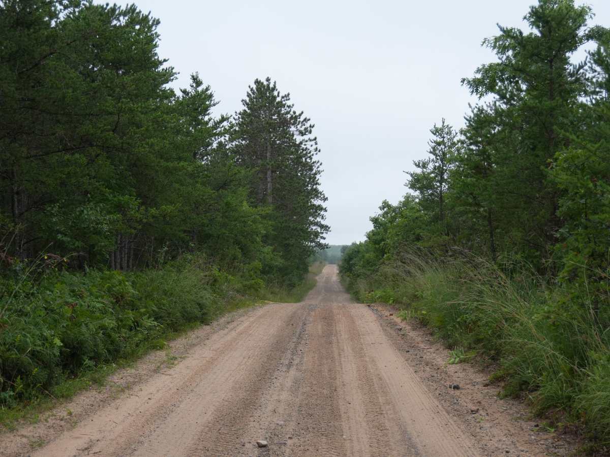Deer Road photo 6
