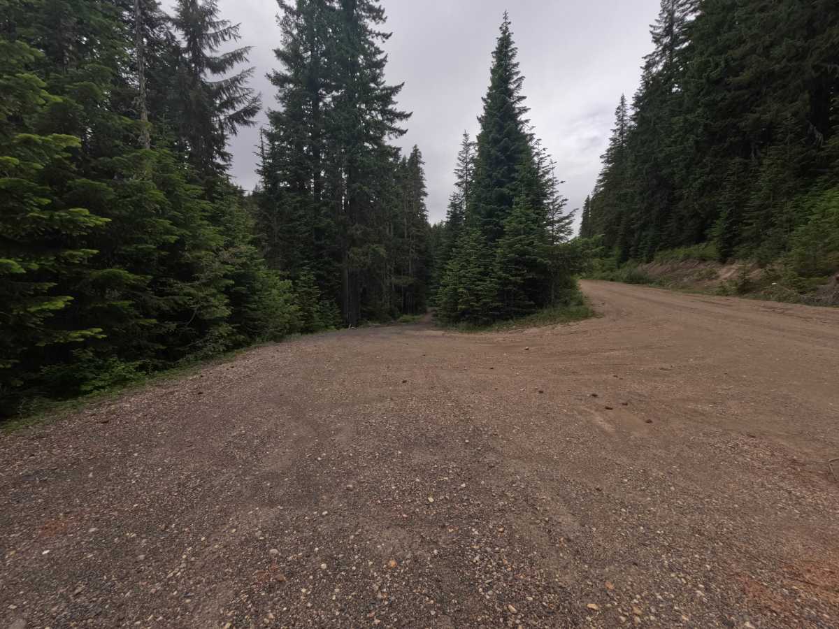 FS 2334014 photo 3