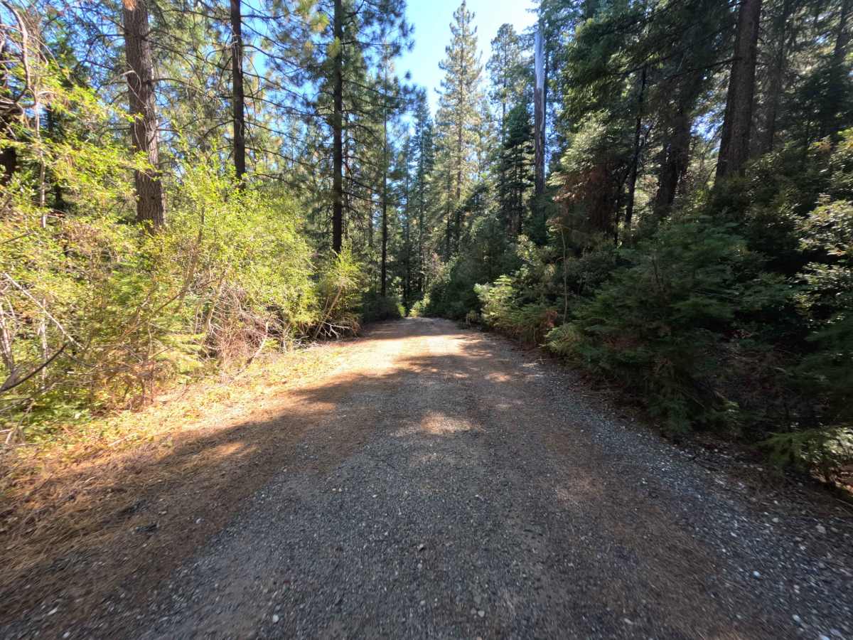 Harrison Ridge Spur A - FS 21N20A photo 3