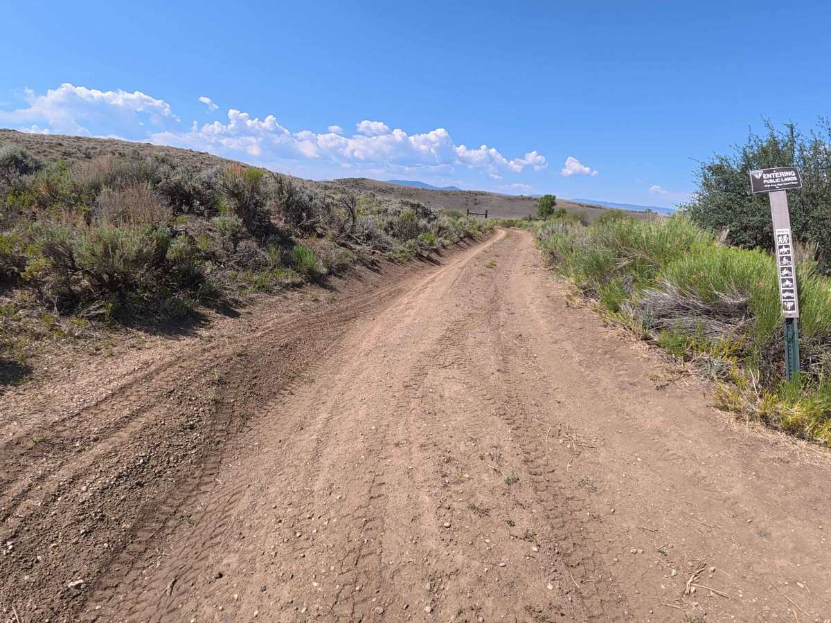 South Creek photo 6