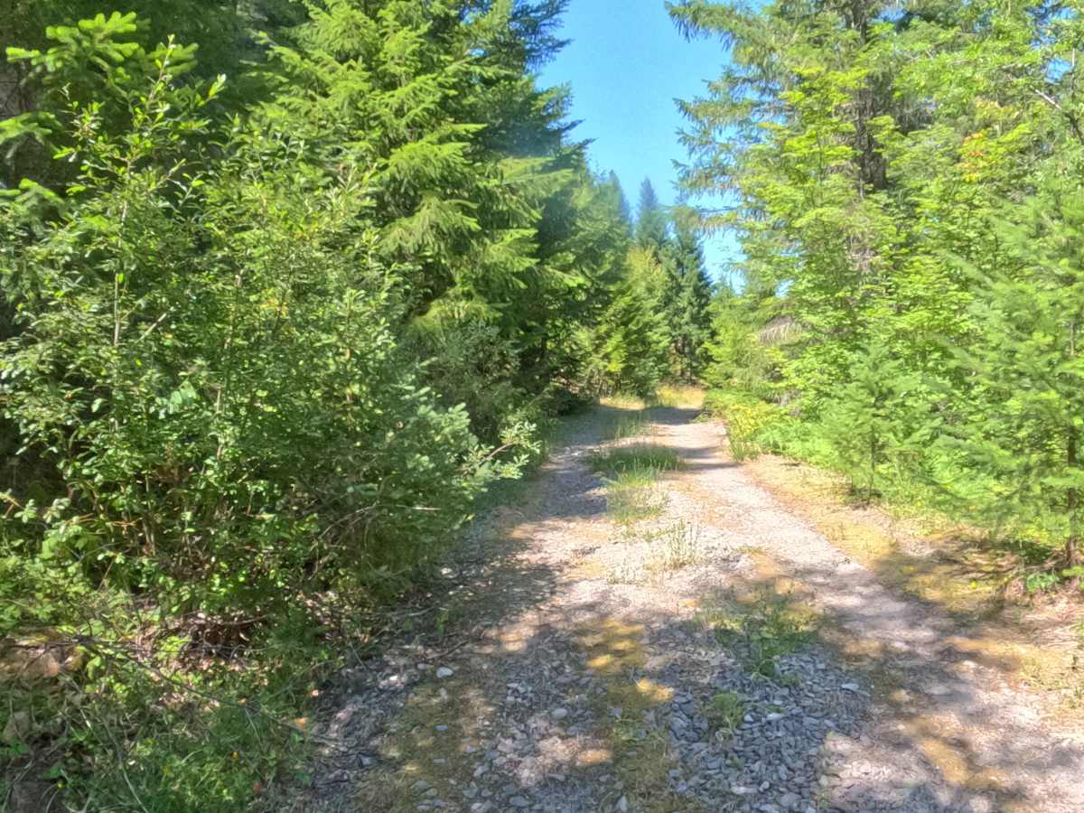 South Branch - FS 2266400 photo 4