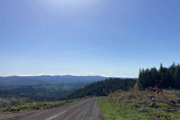Willapa Hills