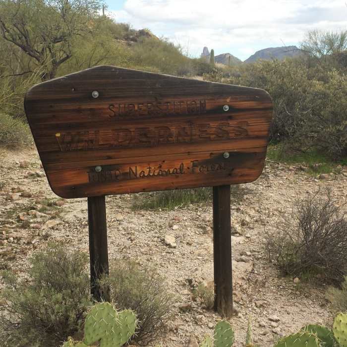 Near Second Water and Hackberry Spring Loop