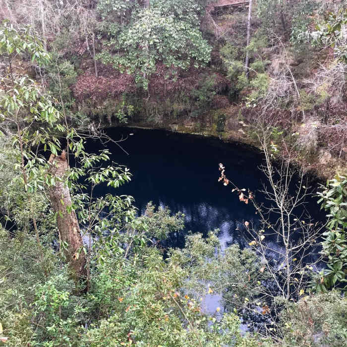 Near Leon Sinks Loop