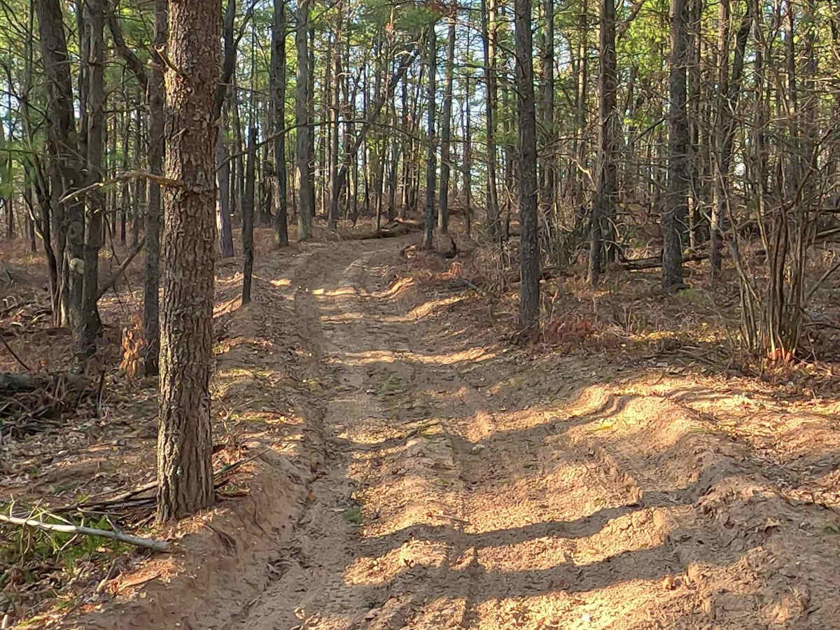 Mack Lake Loop Trail - ORV H-57 photo 5