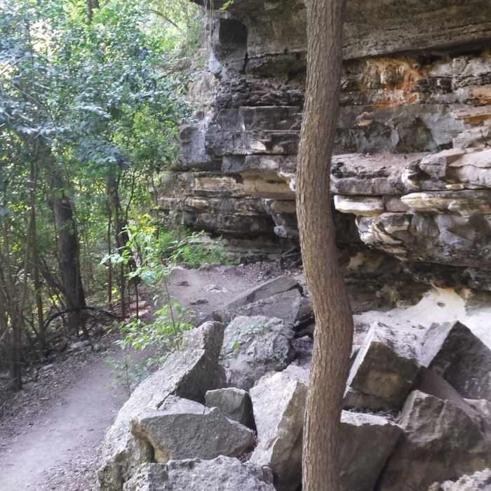Near Violet Crown Trail