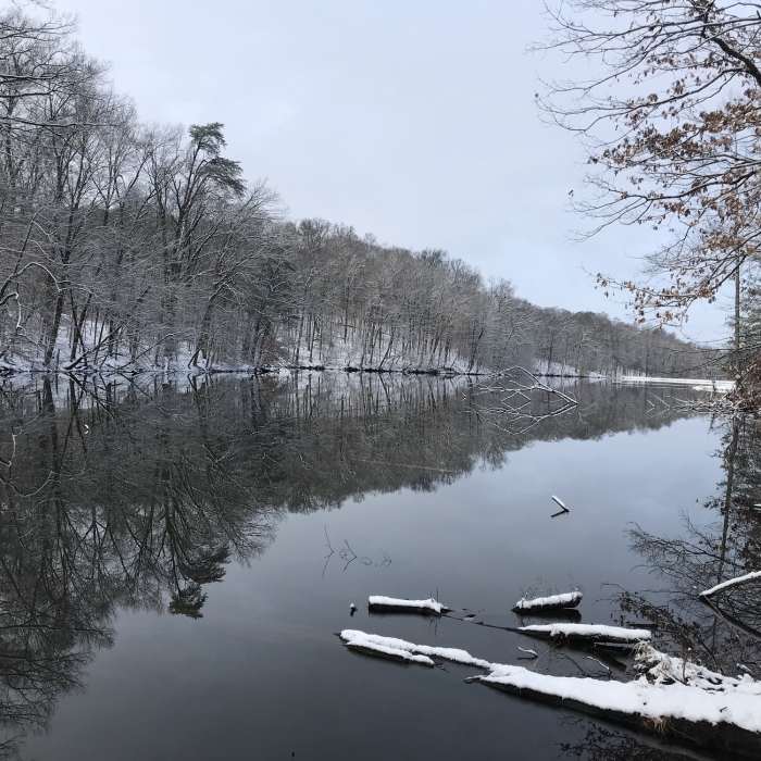 Near Trail 1