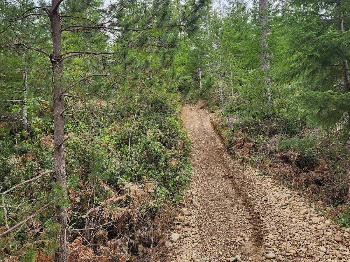 Twin Lakes Loop photo 5