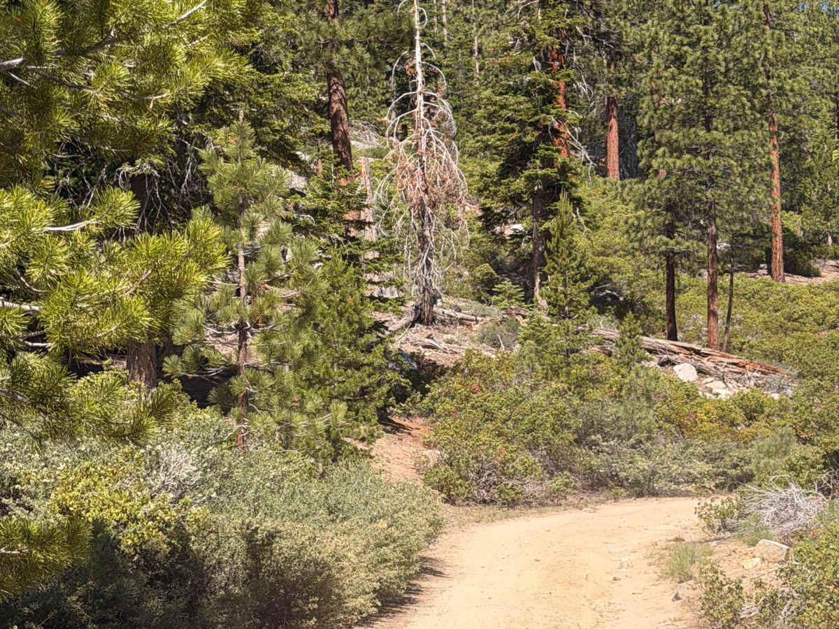 Smith Mountain Road - FS 21S37 photo 6