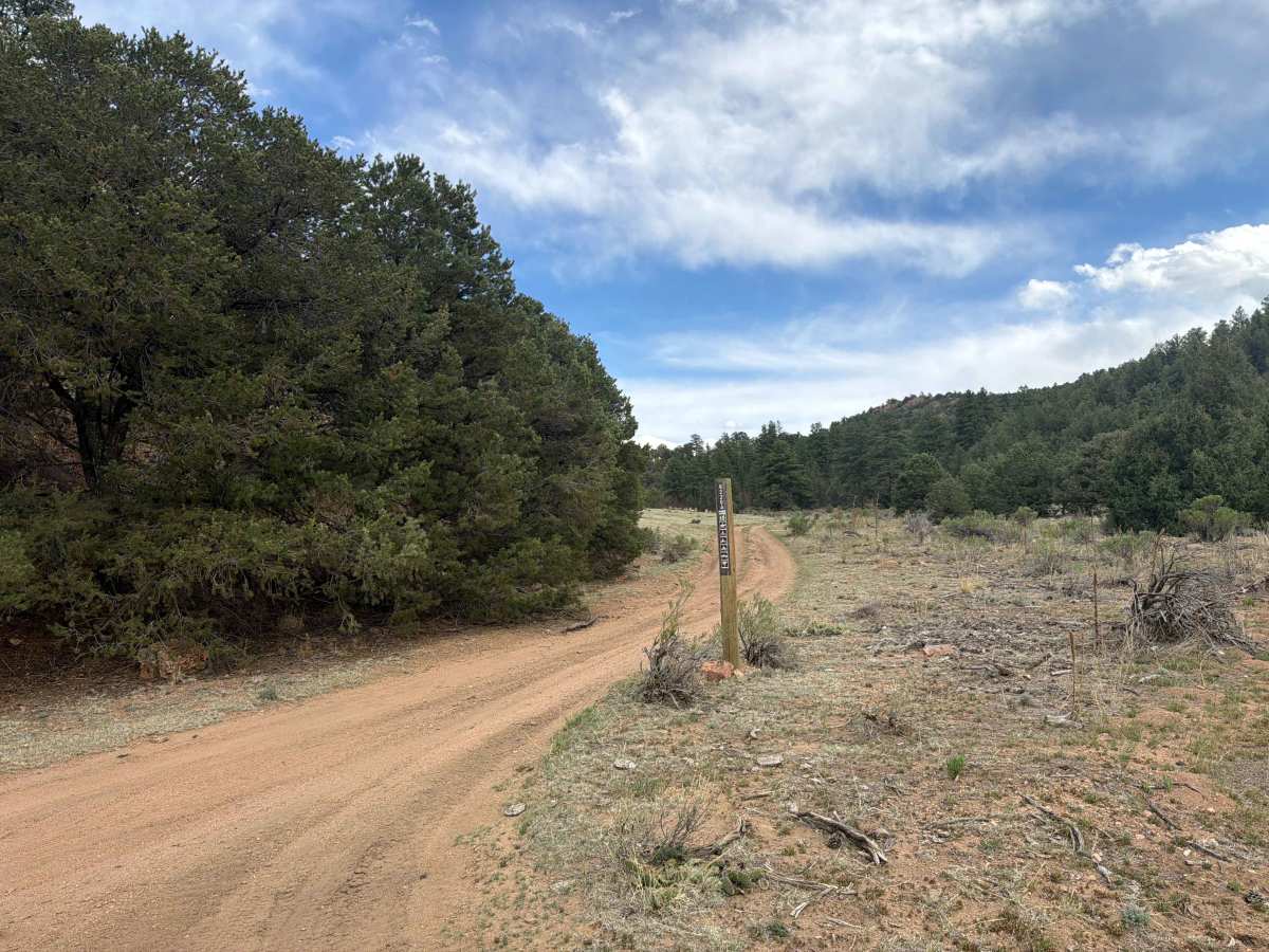 BLM 6220A trail photo