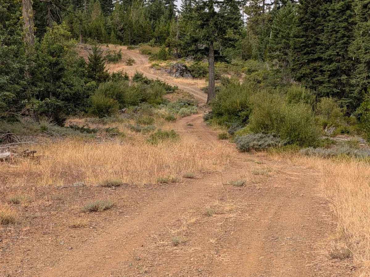 Grouse Prairie Road - FS 1N05 photo 4