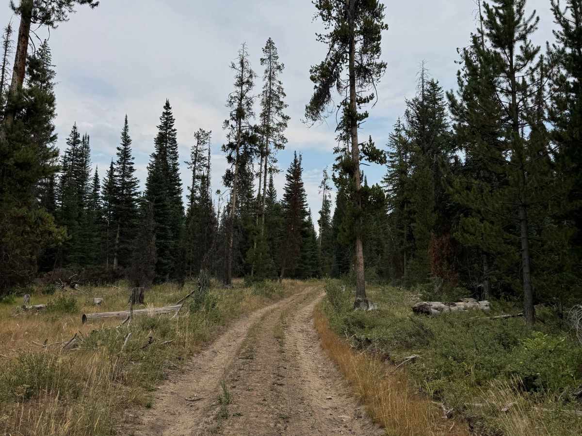 Mill Creek Road - FS 469 photo 2