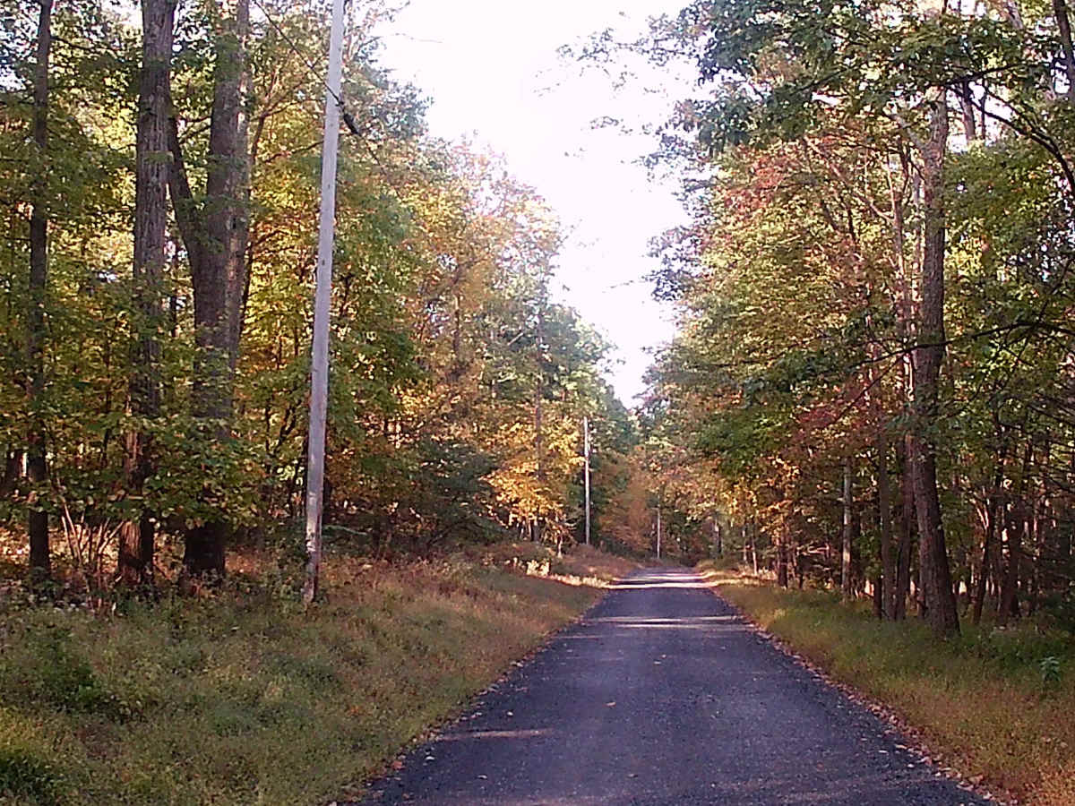 Lingle Valley Road photo 5