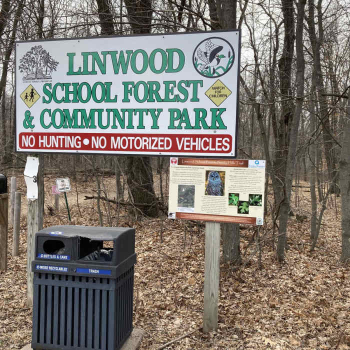 Near Linwood School Forest Trails Loop