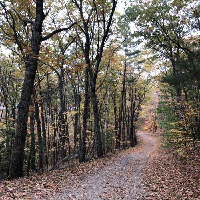 Near Tower Hill Pond Loop Trail