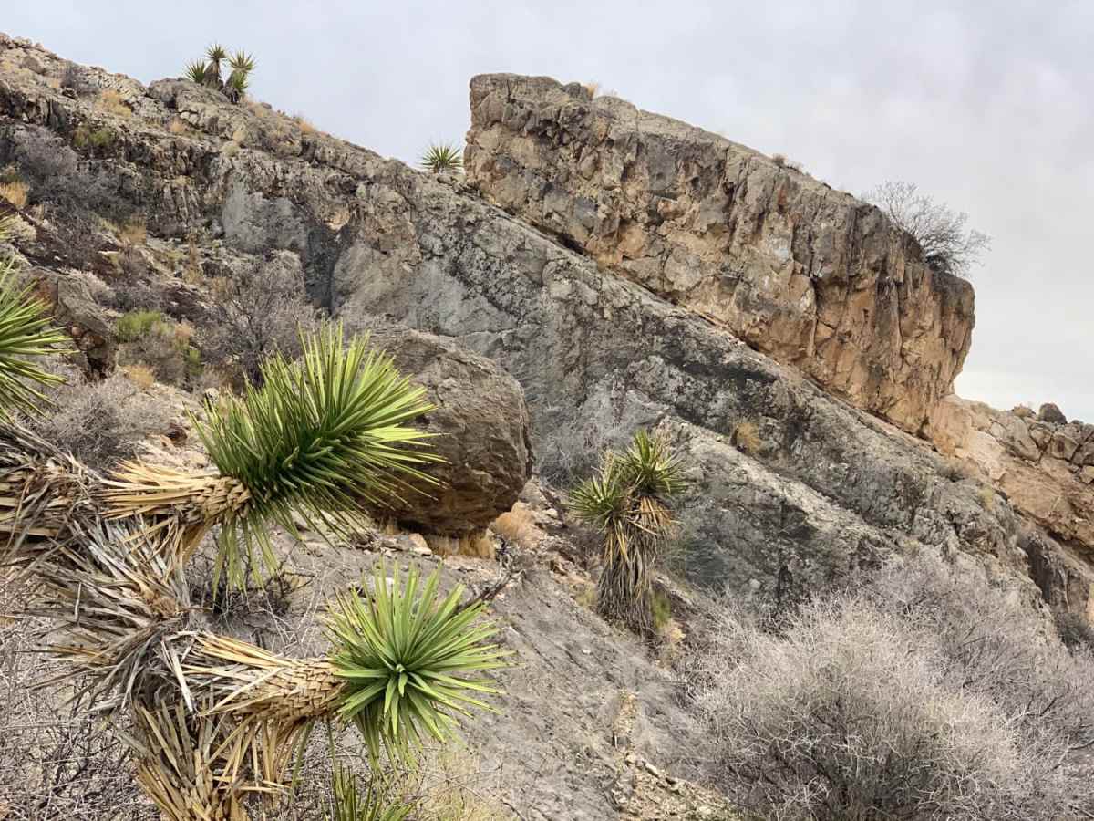 Lower Wheeler Wash photo 6