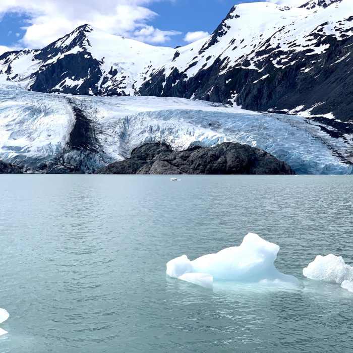 Near Portage Pass Trail Near Portage Pass Trail