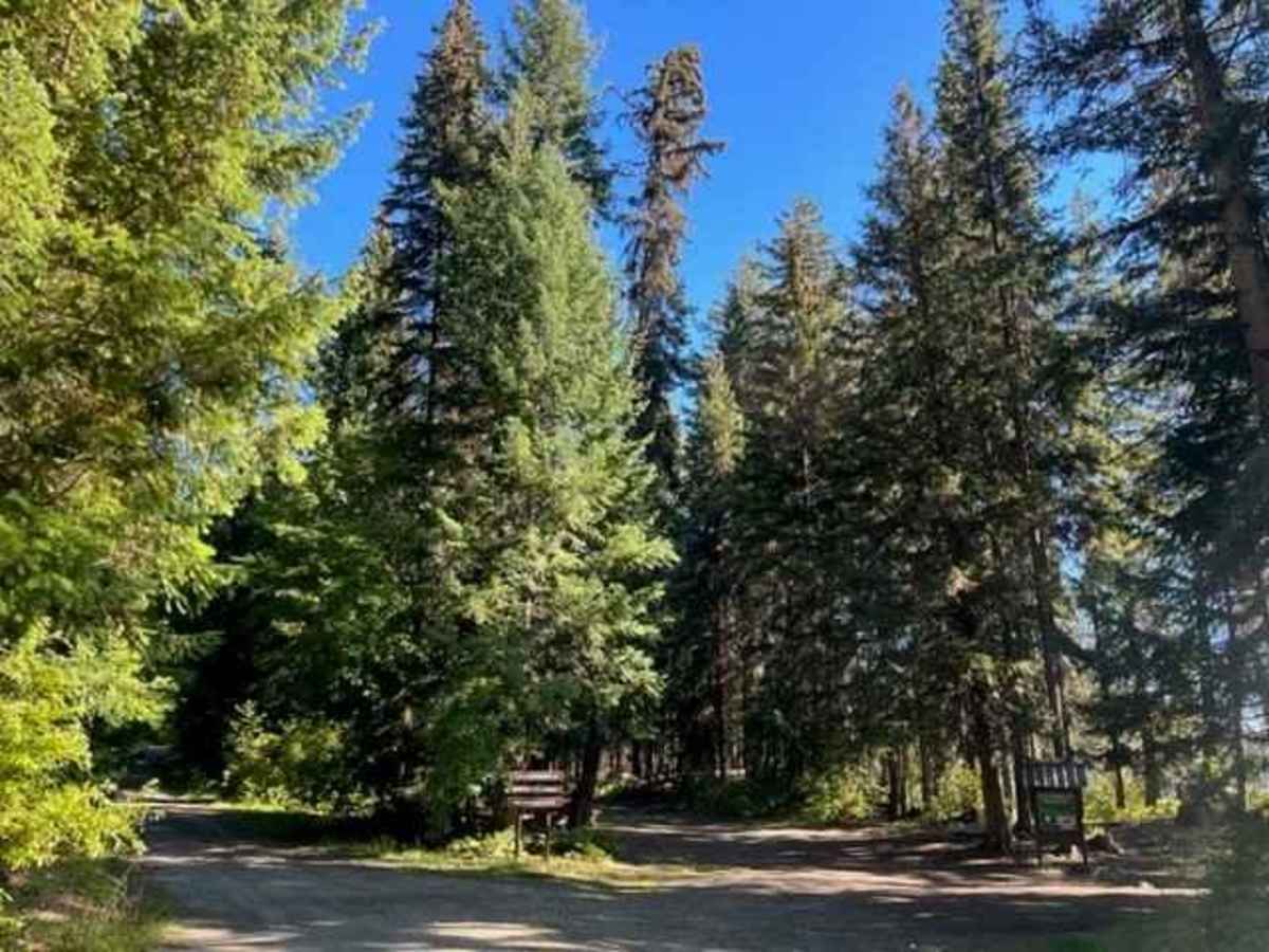 Barriere Lake Rec Sites trail photo