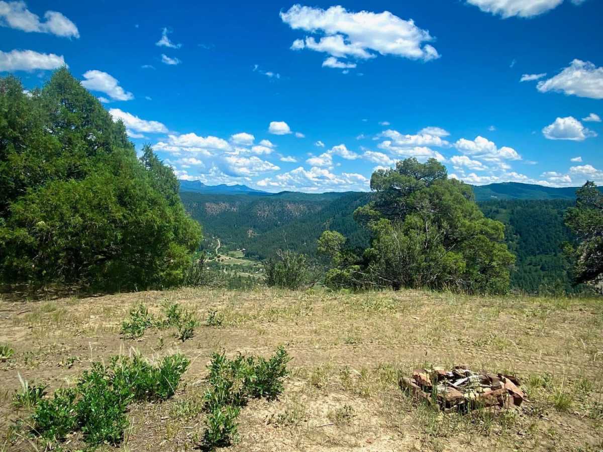 Eight Mile Mesa C-USFS Rd #651C photo 5