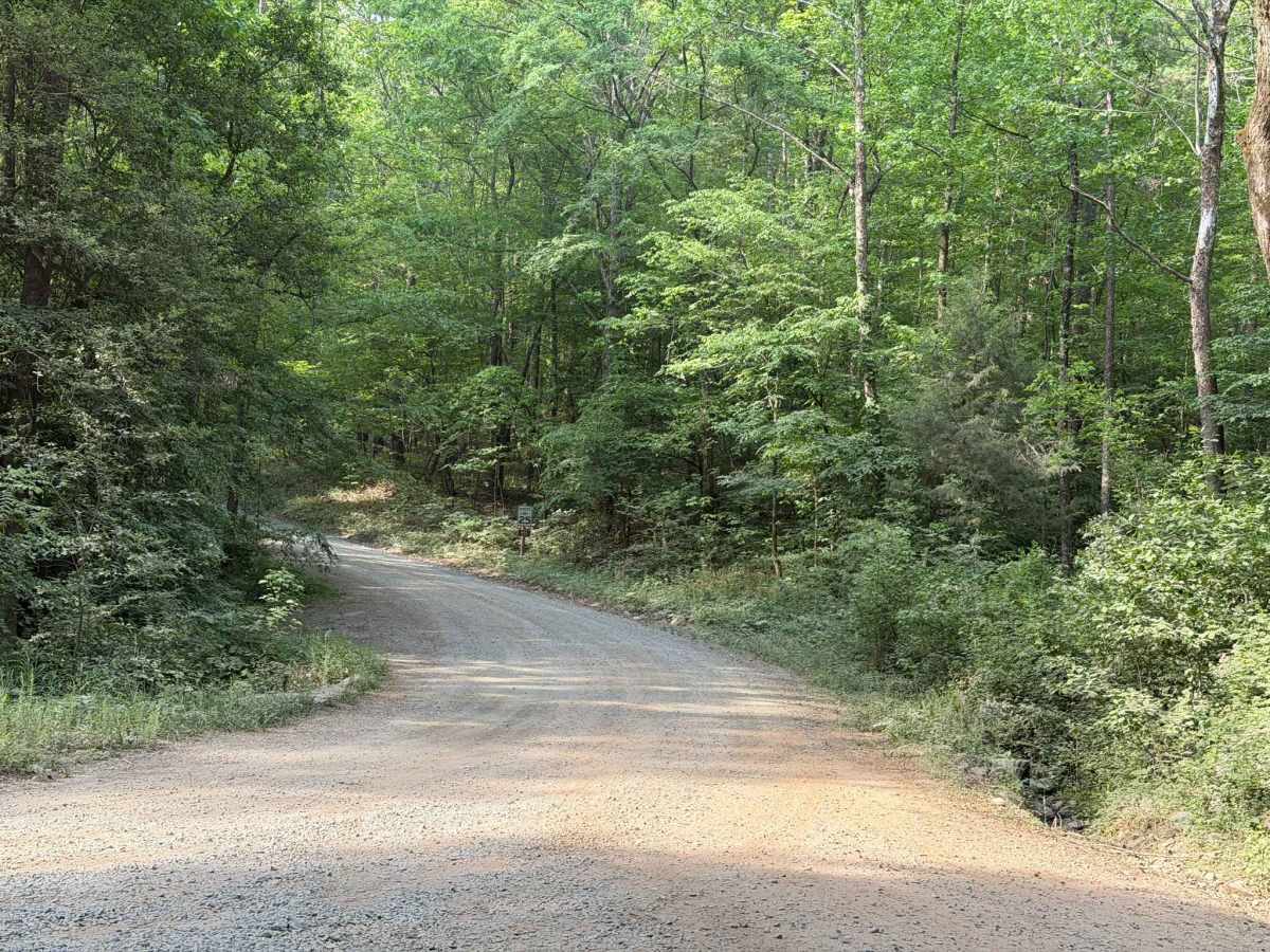 Cotton Place - FS 555 trail photo