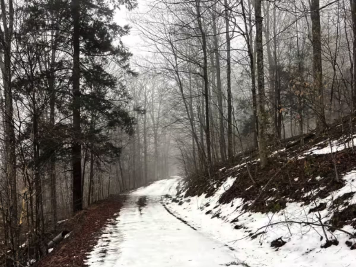 Williams Trail photo 3
