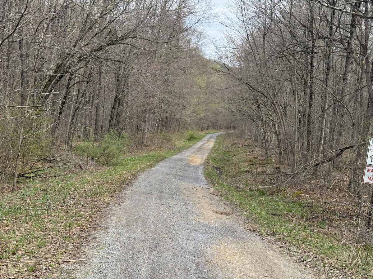 East Bucklick - FS 435 photo 2