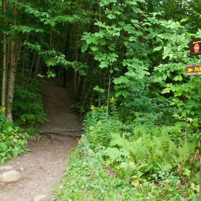 Near Mount Arab Hike Near Mount Arab Hike