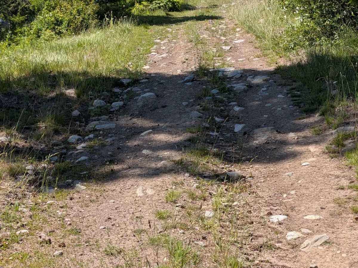 Big Toad Rd photo 2