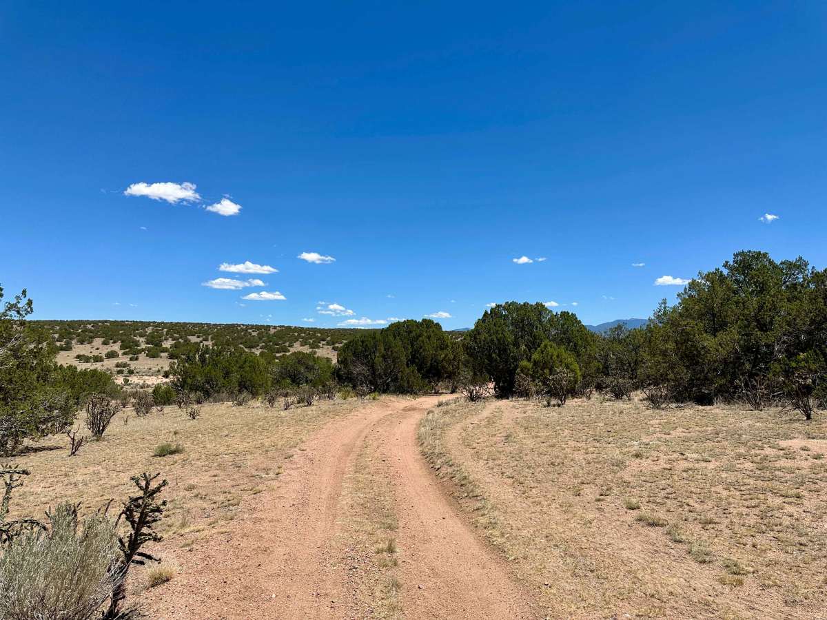 Dispersed Camping Trail photo 5