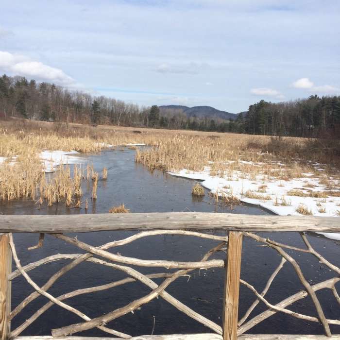 Near Rush Pond Way Trail