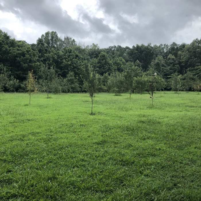 Near Maryville Woods College Loop