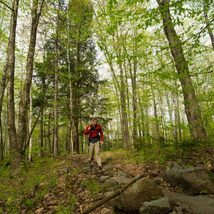 Near Prospect Rock Near Prospect Rock