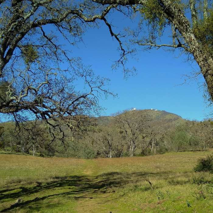 Near Manzanita Trail